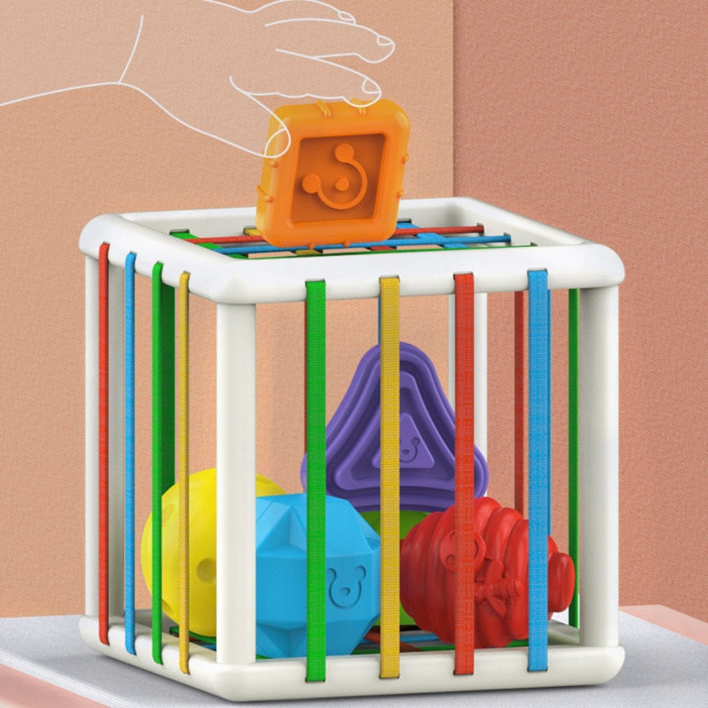 Brinquedo Educativo de Seleção de Formas
