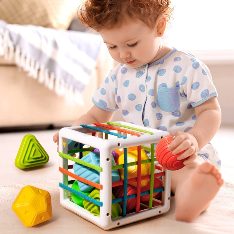 Brinquedo Educativo de Seleção de Formas